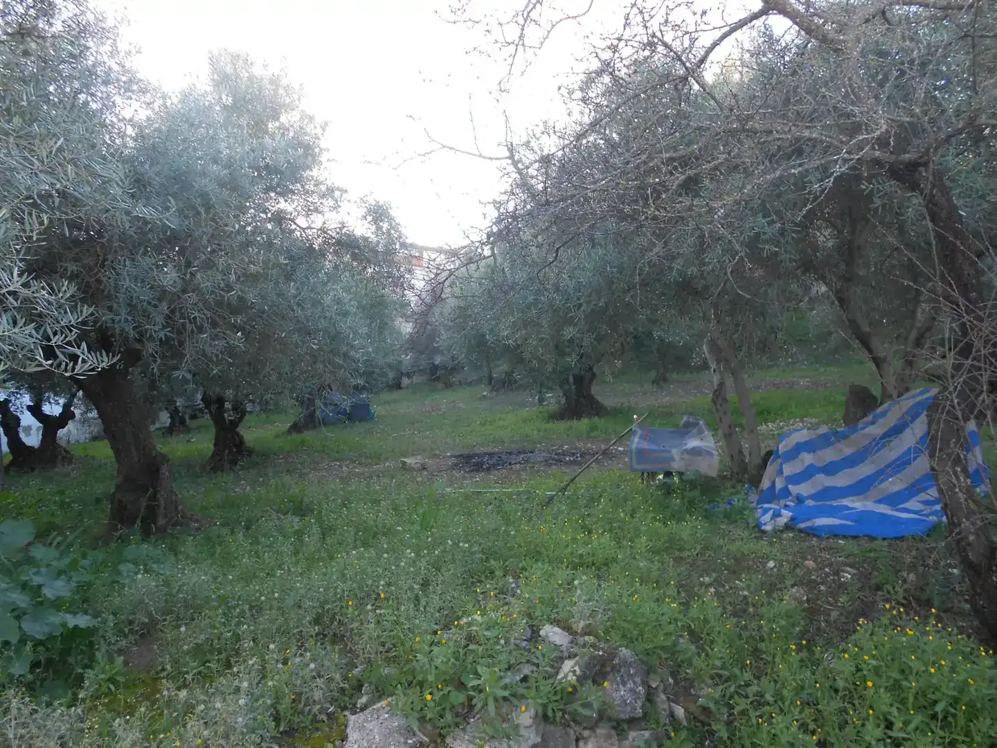 Casa o xalet en venda en Montejaque amb Jardí privat, Traster i Moblat
