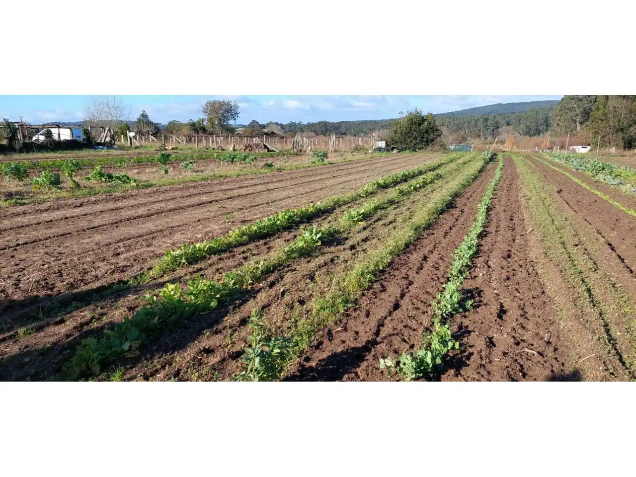 Terreno rustico in vendita a Ribadumia, imagen 12