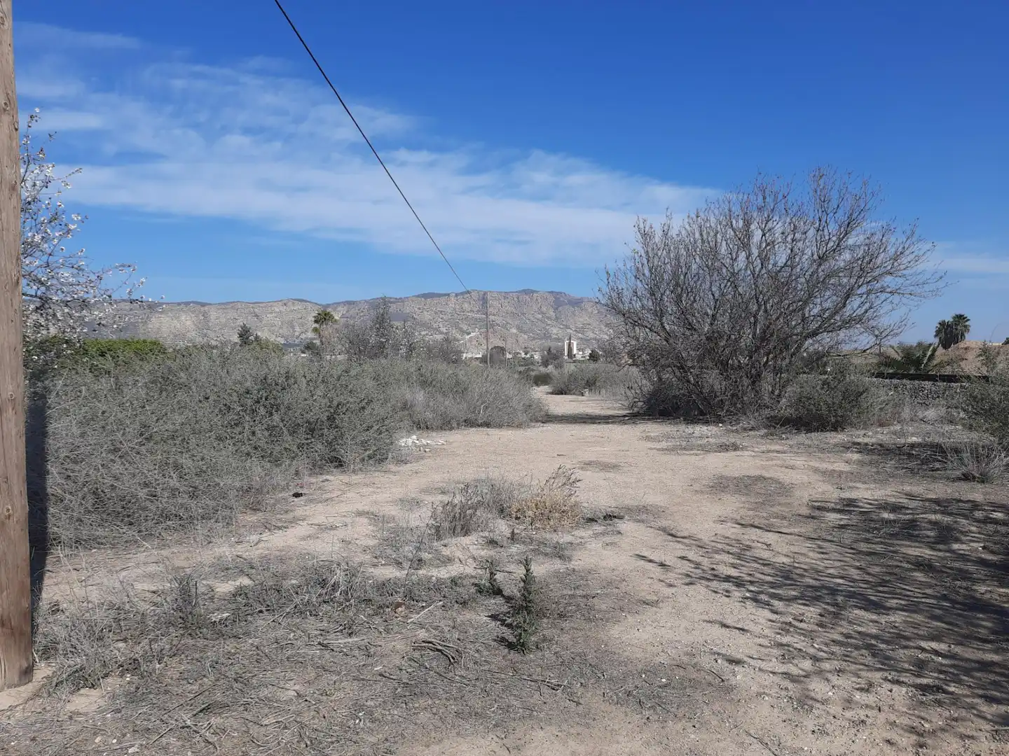 Terreni e lotti in vendita a Alhama de Murcia ciudad