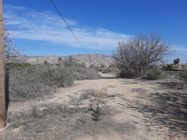 Rural land for sale in Alhama de Murcia ciudad