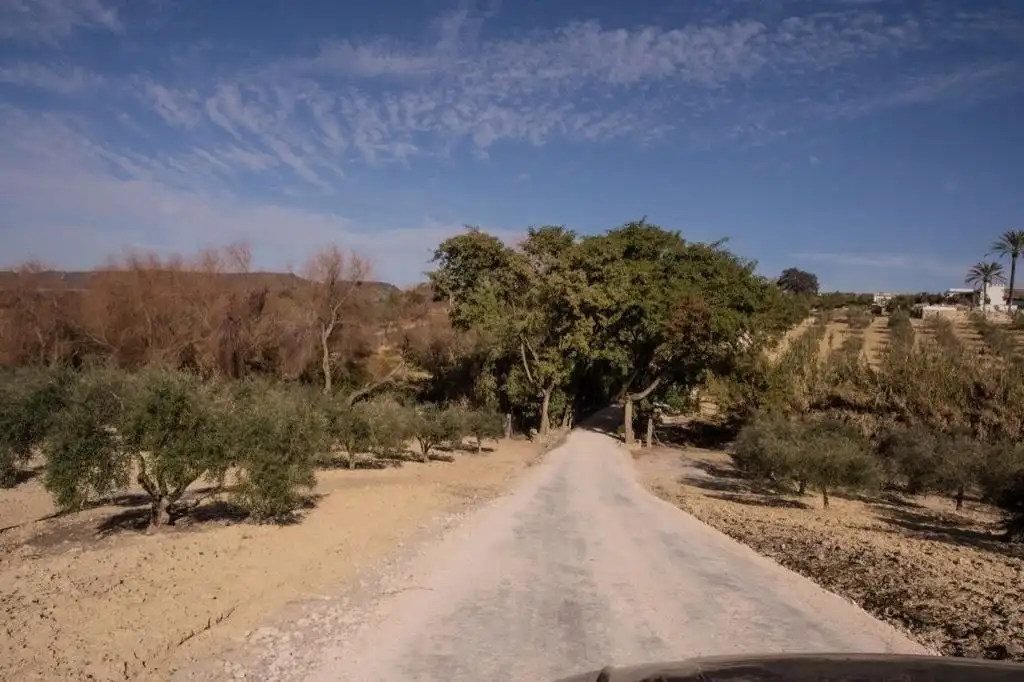 Vista exterior de Finca rústica en venda en Arcos de la Frontera amb Calefacció, Terrassa i Traster