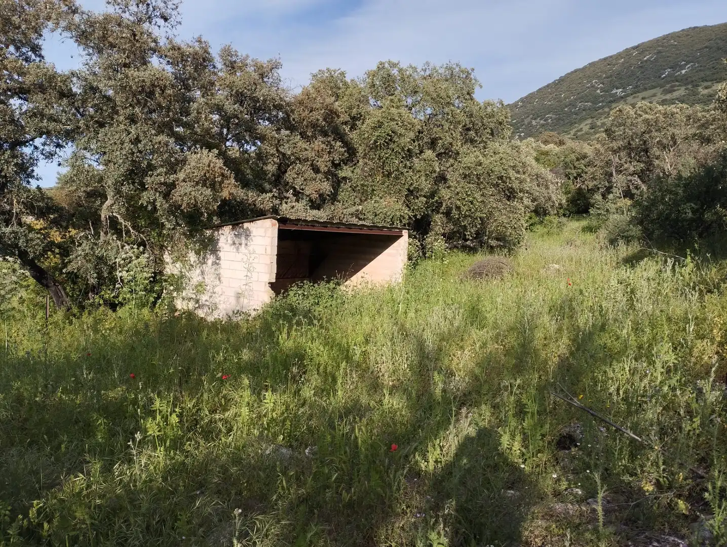 Terreno rustico in vendita a Calle Doña Mencía, imagen 4