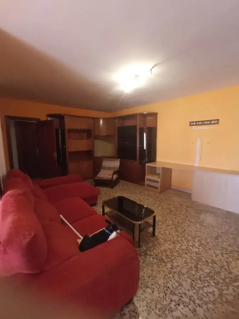 Wohnung mit Aufzug zum Verkauf in Avinguda de Duran i Sanpere, imagen 10