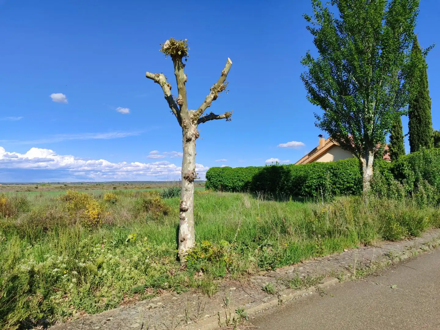 Residential for sale in Mansilla de las Mulas