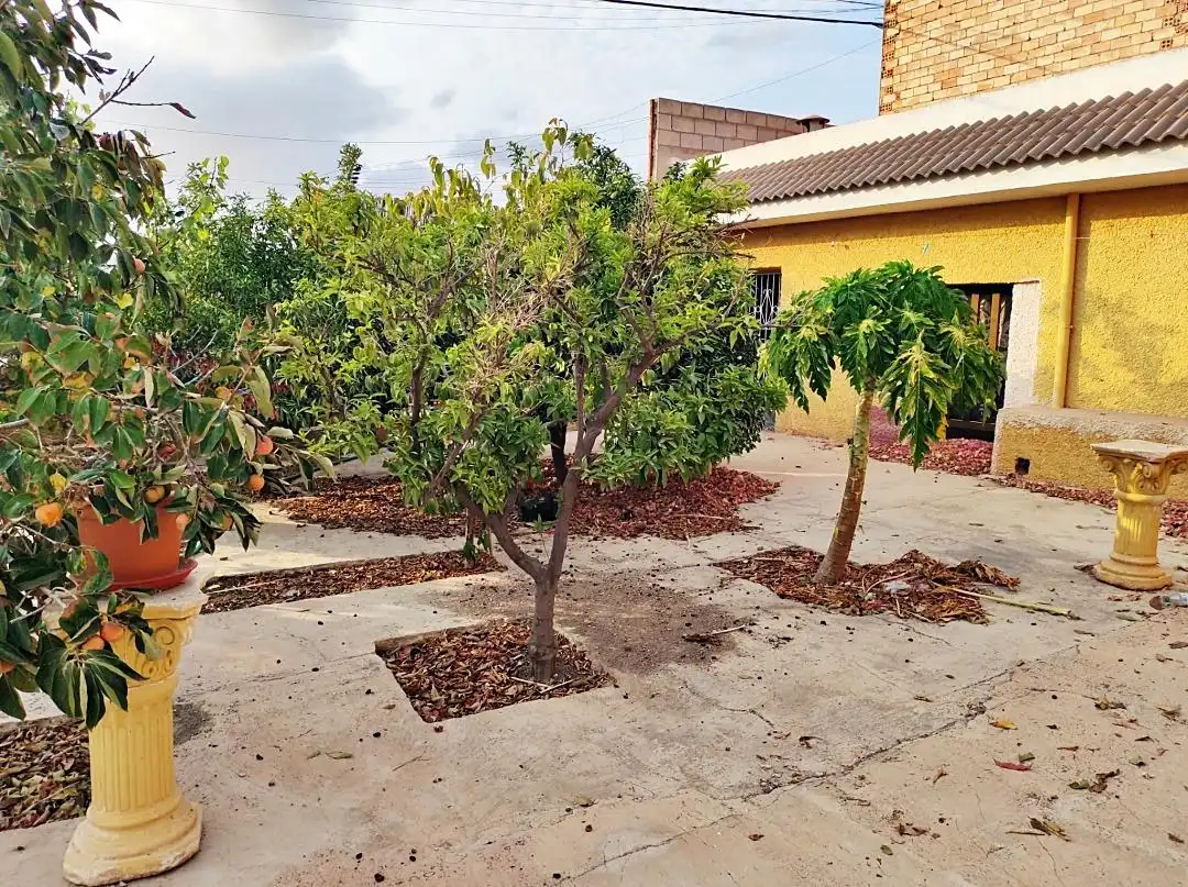 Houses for sale in Calle Calle Vista Alegre de La Ñora, La Ñora