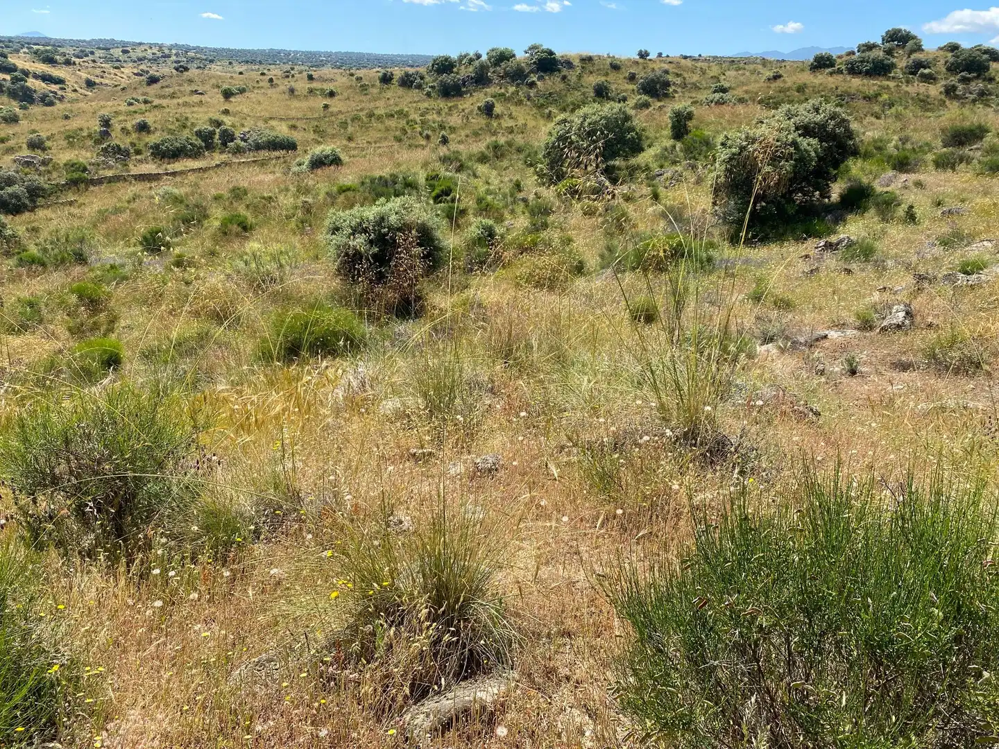 Terreni e lotti in vendita a Villar del Pedroso, imagen 32