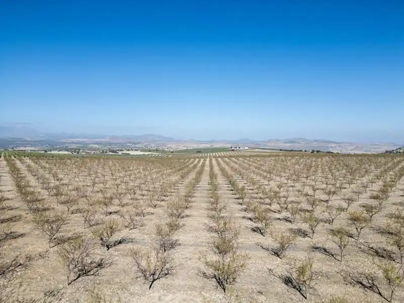 Exterior view of Land for sale in Alamedilla