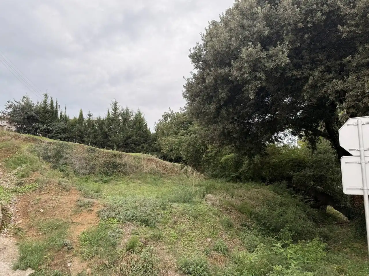 Terreno residencial en venta en Calle Alzines, imagen 4