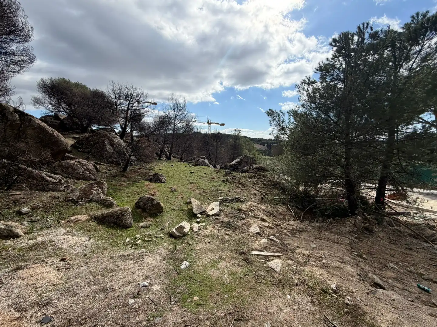 Wohnbaugrundstück zum Verkauf in Las Marías, imagen 16
