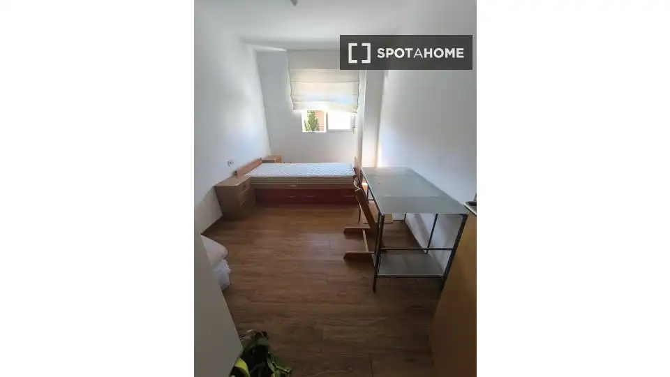 Room in Museros