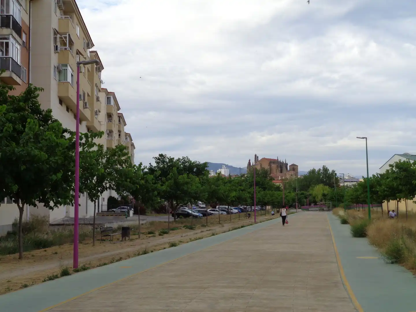 Locale commerciale in affitto a Vial Camino, imagen 19