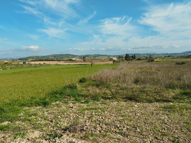 Terreno en Venta en Algaida