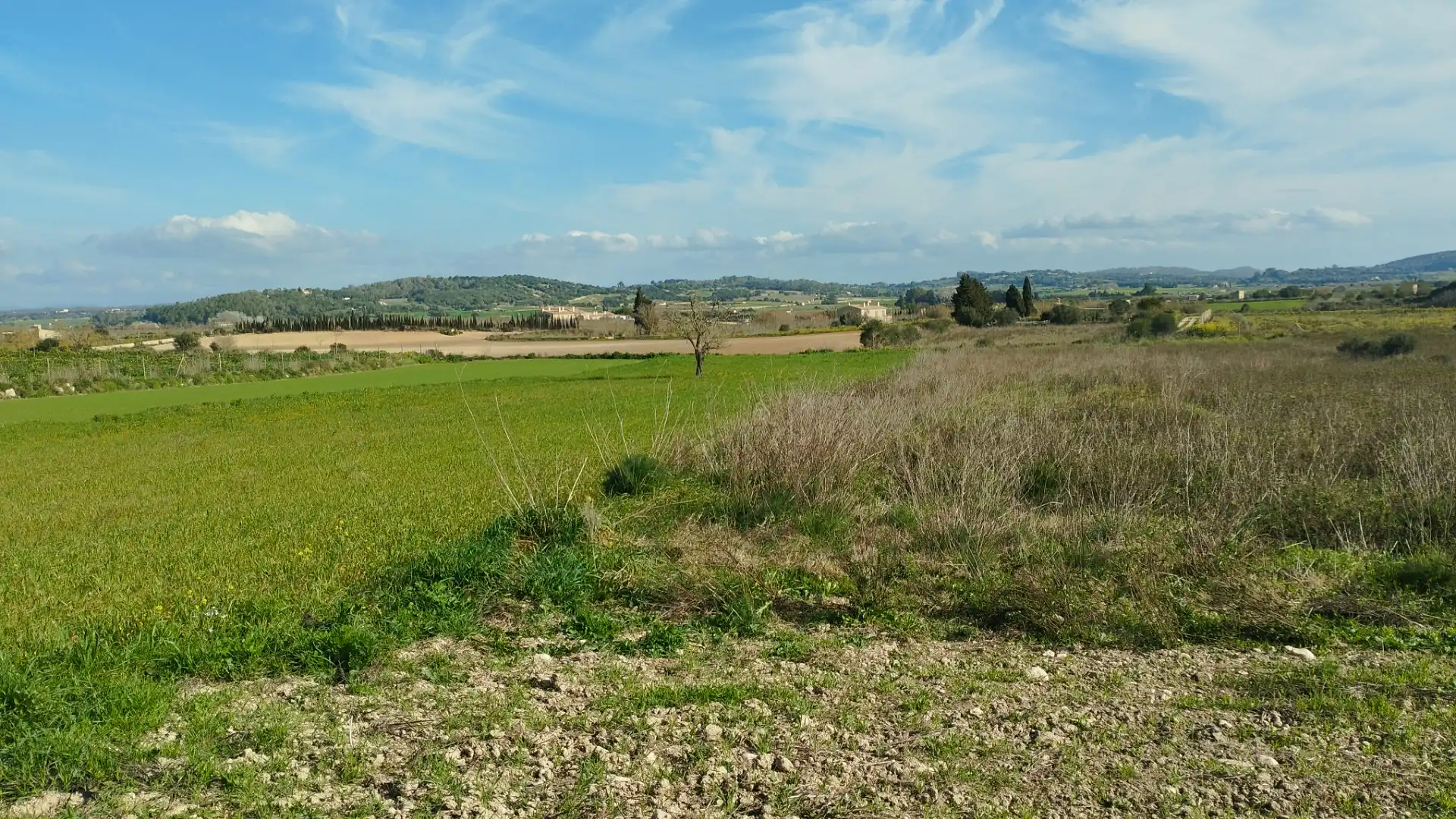 Terreno en venta en Algaida