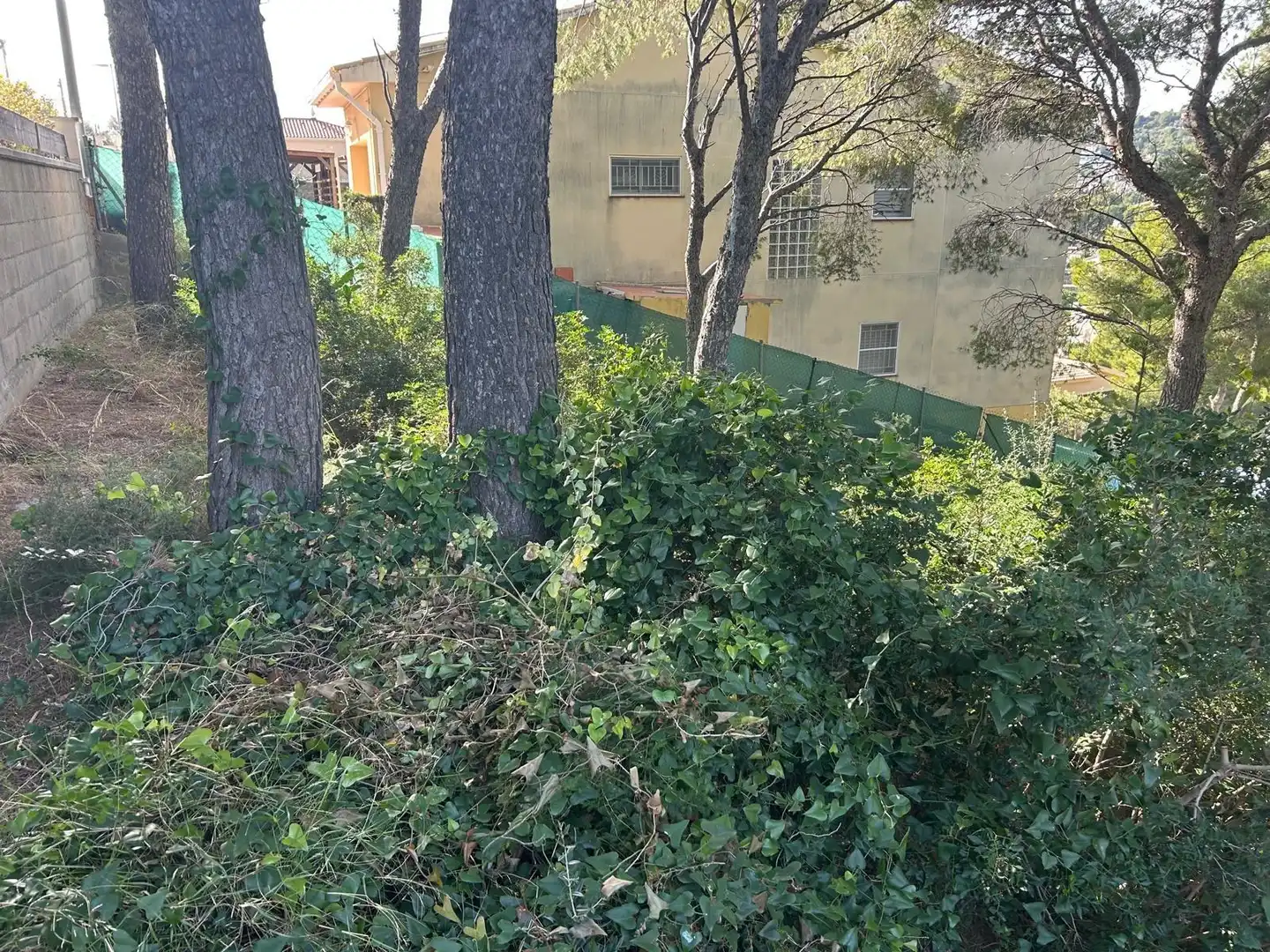 Lands and plots for sale in Segur de Calafell, imagen 19