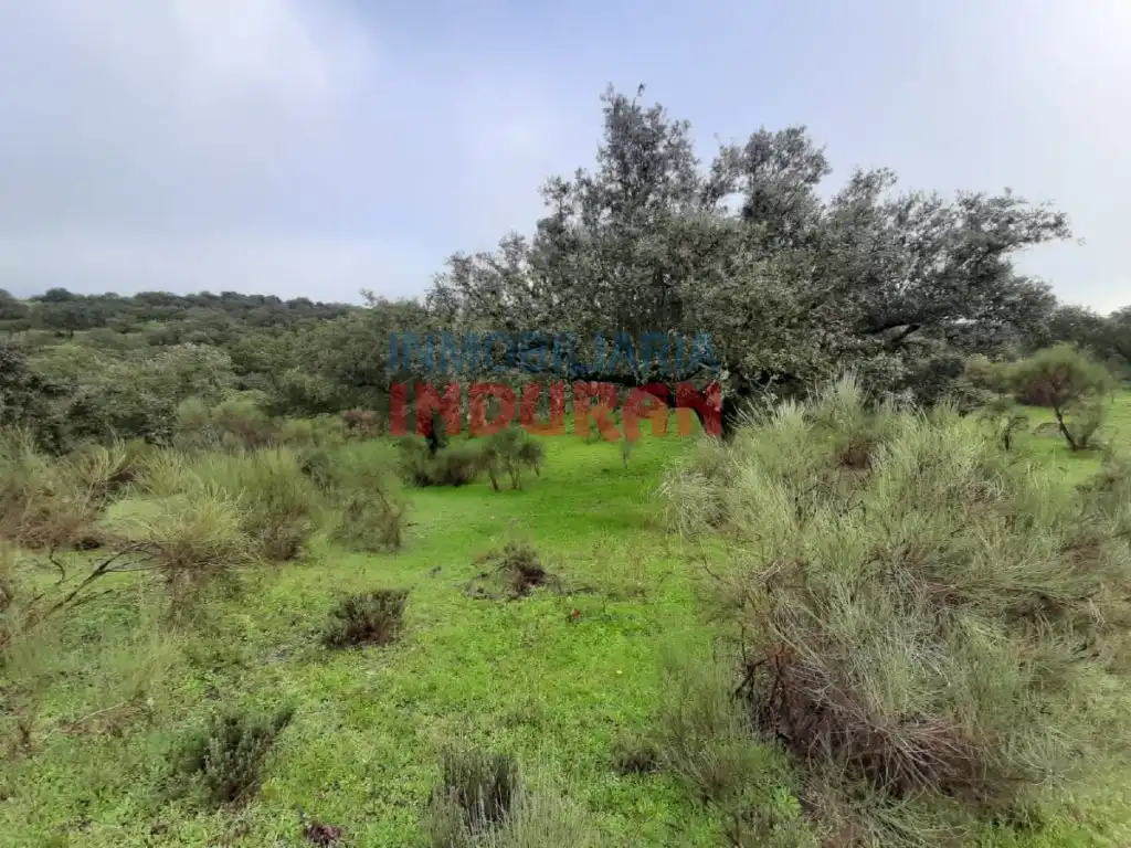 Finca rústica en venta en Millanes