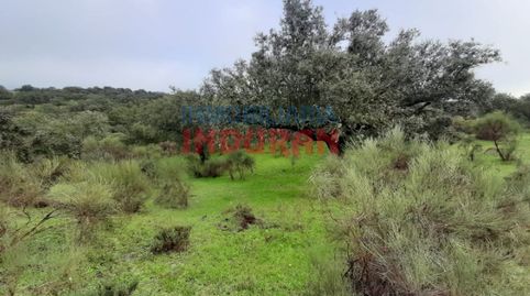 Foto 3 de Finca rústica en venta en Millanes, Cáceres