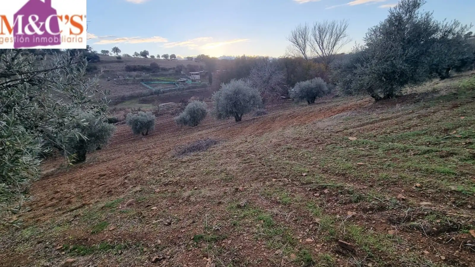 Rustikales Grundstück zum Verkauf in Carretera de Córdoba - Libertad, imagen 2