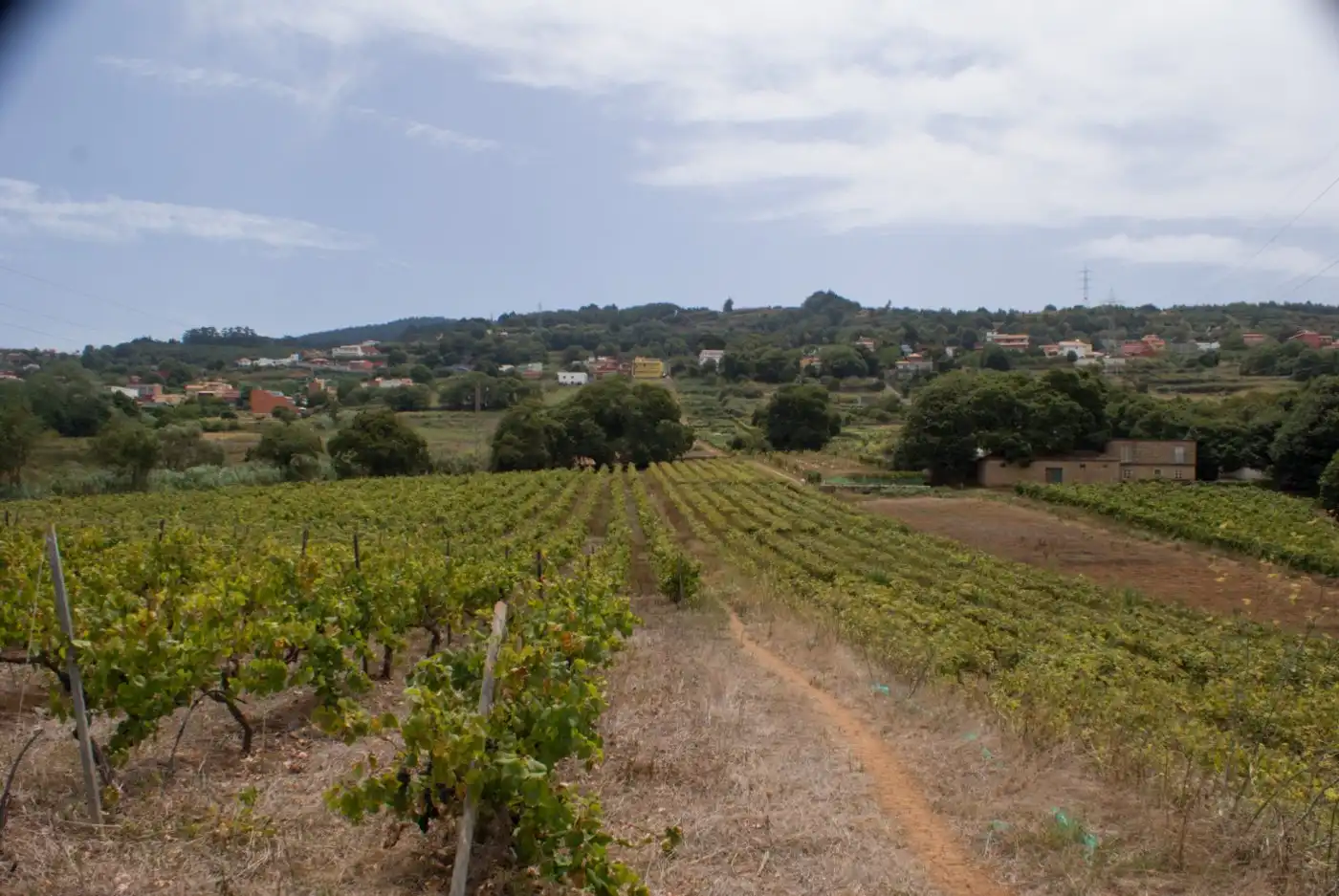 Terreny en venda en El Sauzal