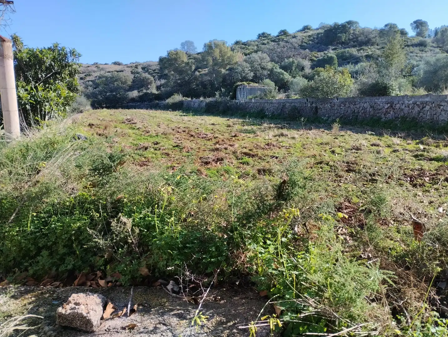 Finca rústica en venta en La Vall d'Ebo