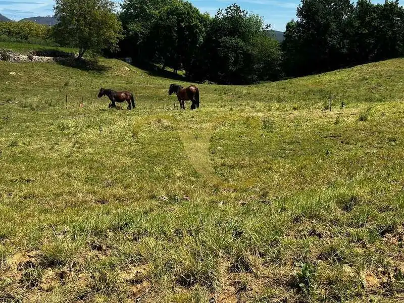 Terrain résidentiel à vendre à Villanueva, imagen 10