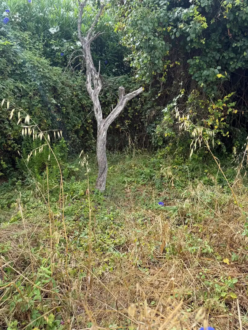 Terreni e lotti in vendita a Benamara - Atalaya, imagen 8
