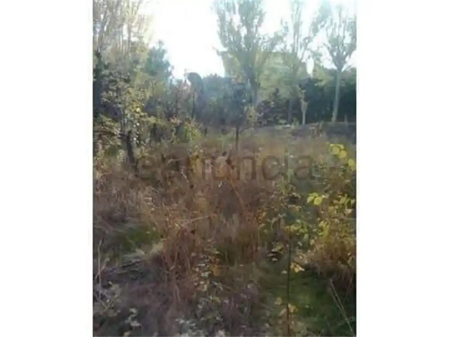 Finca rústica en venta en Alfacar