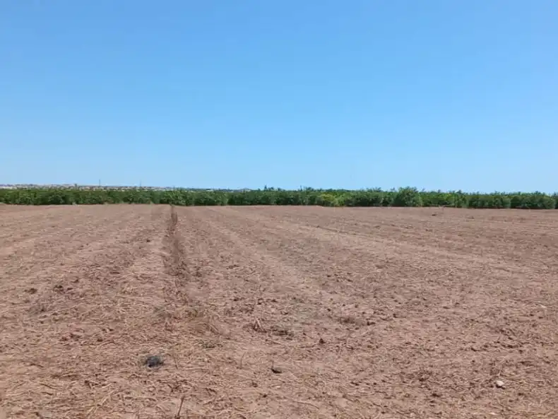 Rural land for sale in Partida Torrejón de San Bruno 52, imagen 6