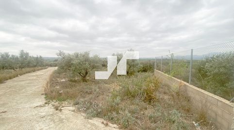 Foto 4 de Casa o chalet en venta en Diseminados [p-24] 19 Polígono 24 Parcela 19, Pedralba, Valencia