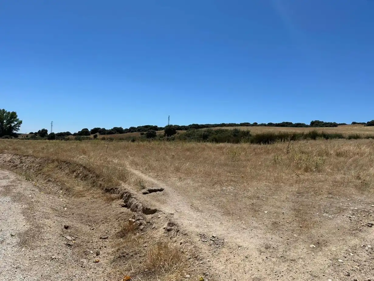Terreny residencial en venda a ALTO DEL OLIVO, Polígono 45 Parcelas 50, 51 y 73, imagen 4