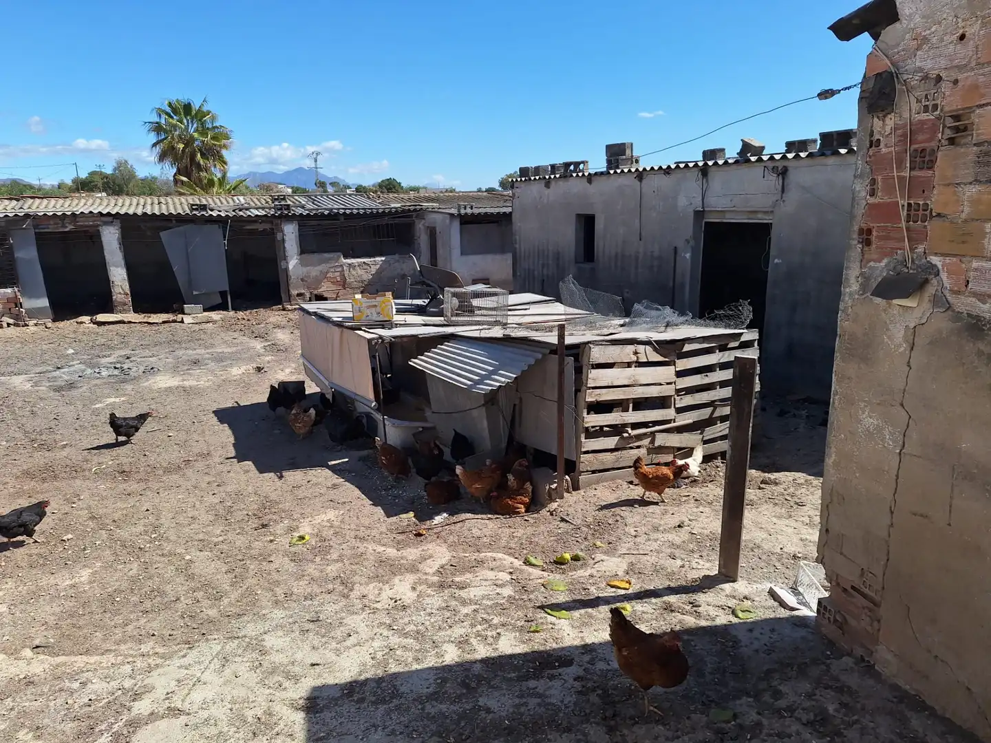 Vista exterior de Casa o xalet en venda en Alicante / Alacant amb Jardí privat, Terrassa i Traster
