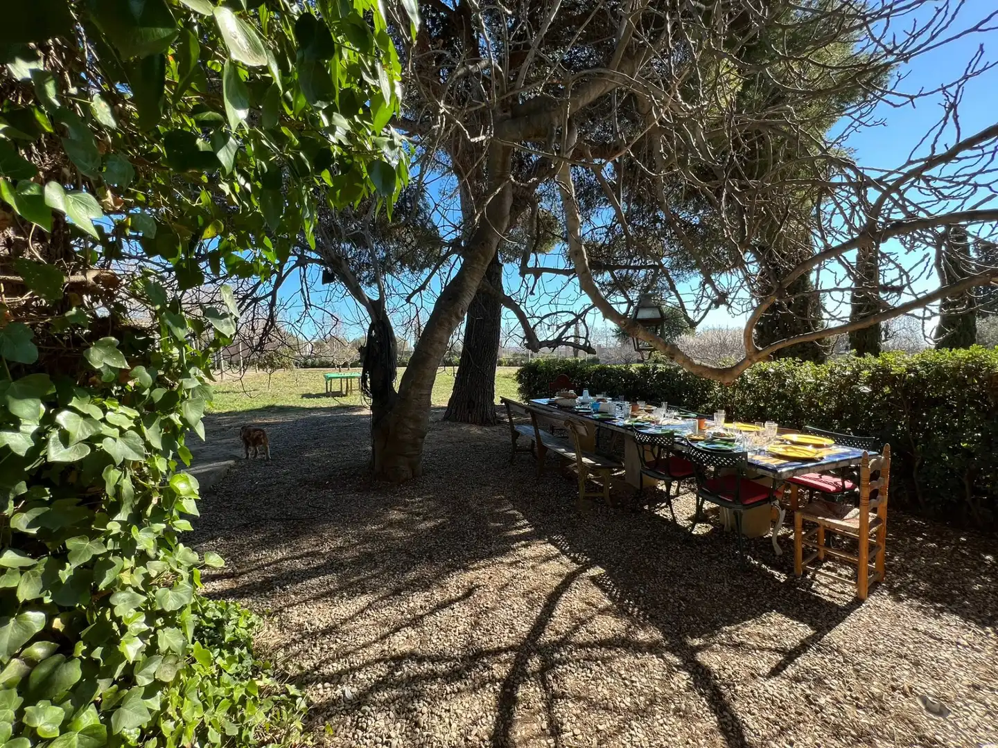 Garden of Houses for sale in Vilanova i la Geltrú