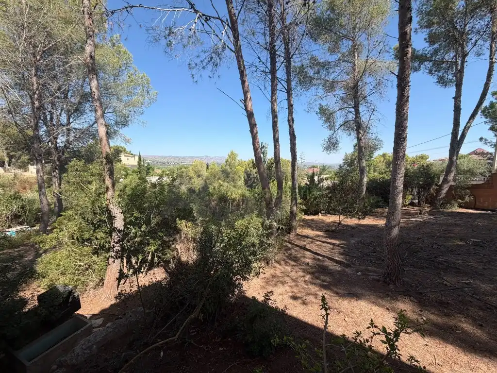 Casa o xalet en venda en Alberic amb Jardí privat, Terrassa i Piscina