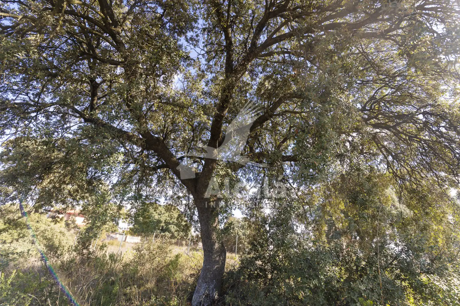 Residential land for sale in Chiloeches, imagen 30