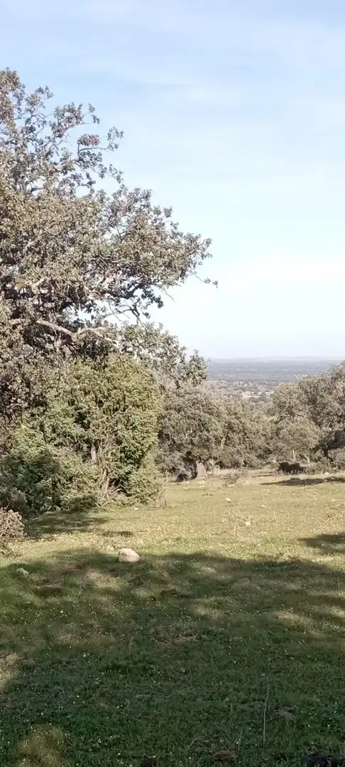 Terreni e lotti in vendita a San Román de los Montes, imagen 9