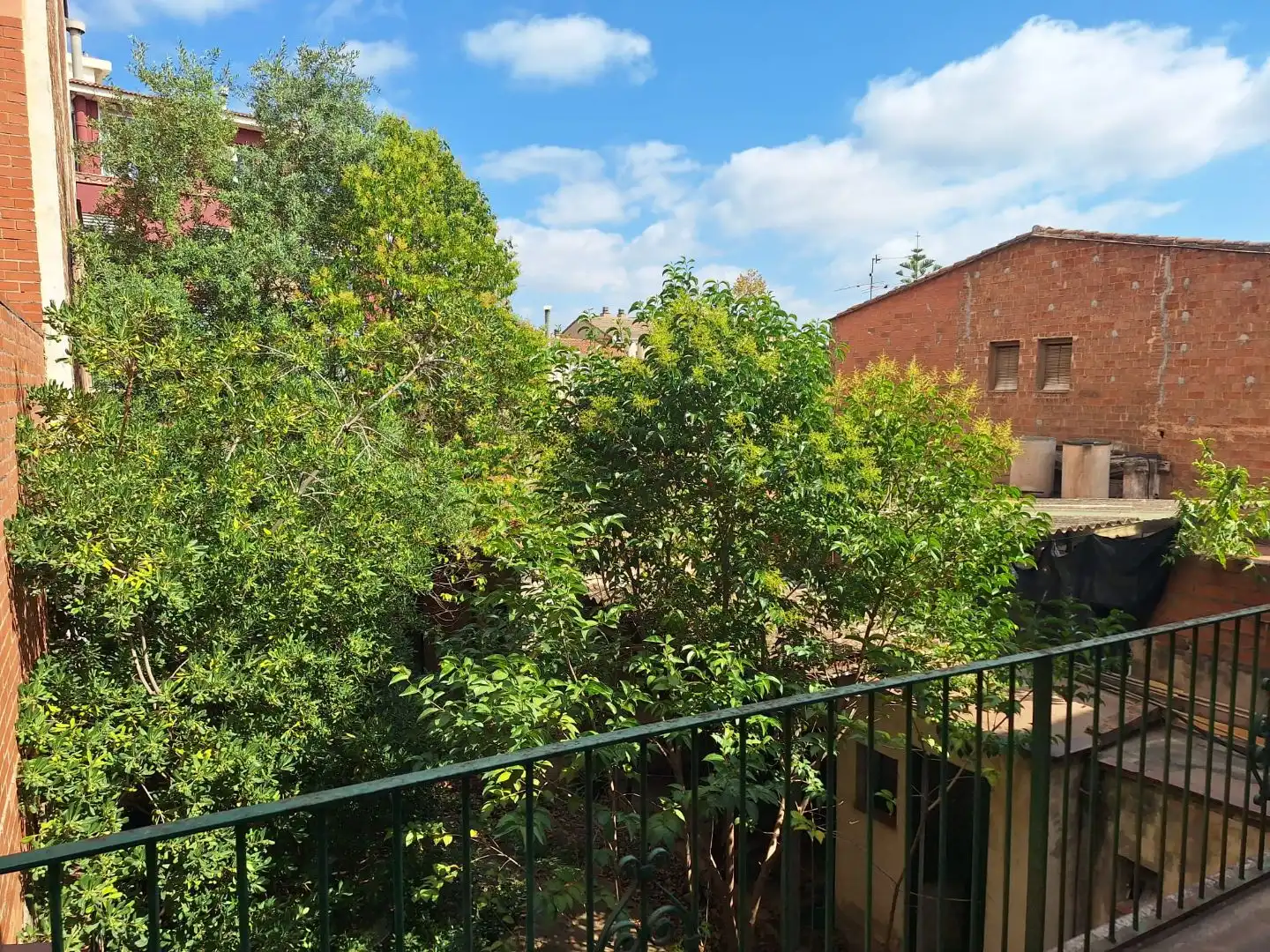 Haus mit Garten zum Verkauf in sant josep 76, imagen 49