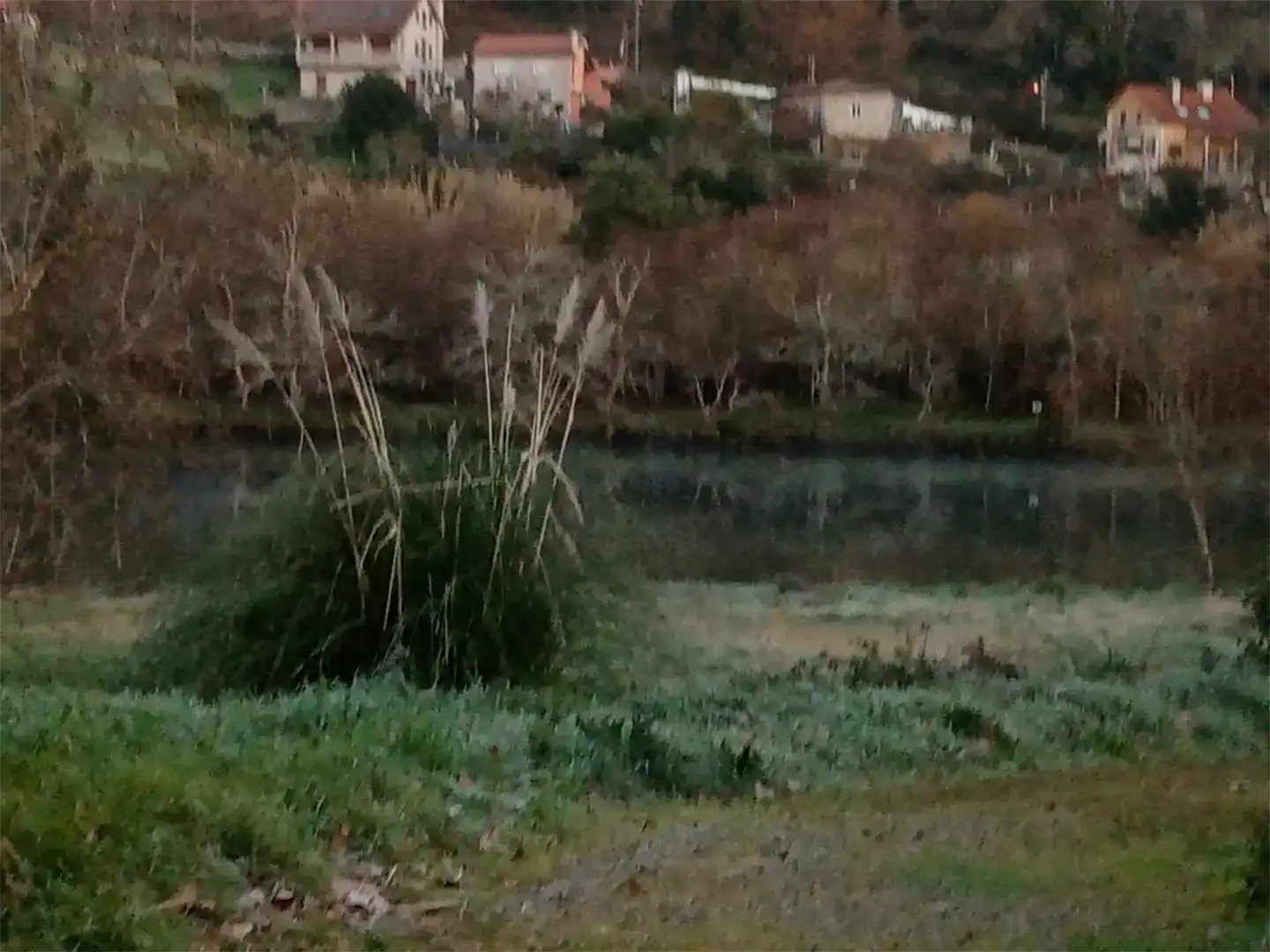 Vista exterior de Casa o xalet en venda en Pontevedra Capital  amb Jardí privat, Parquet i Traster