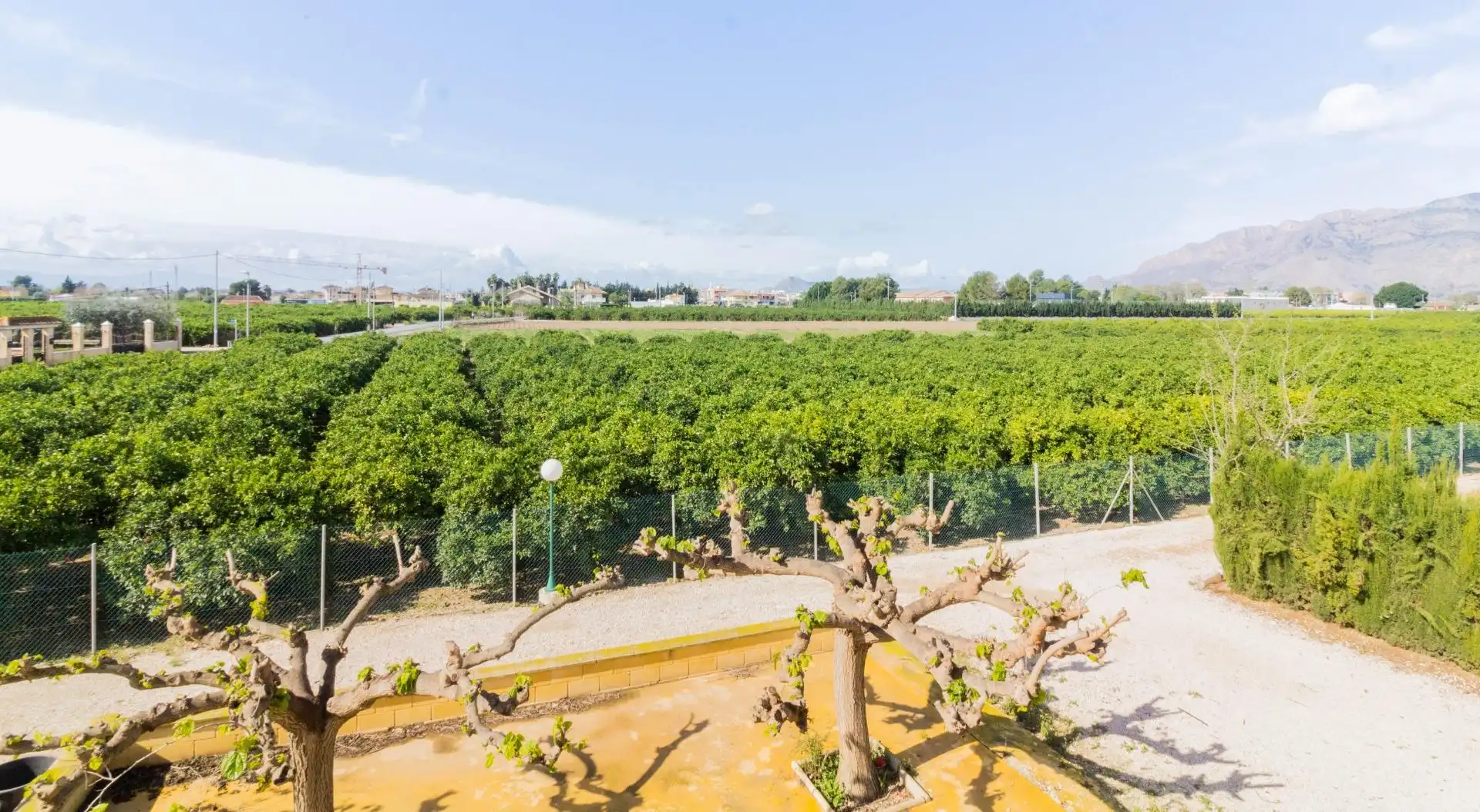 Casa amb jardí en venda a Desamparados - Hurchillo - Torremendo, imagen 13