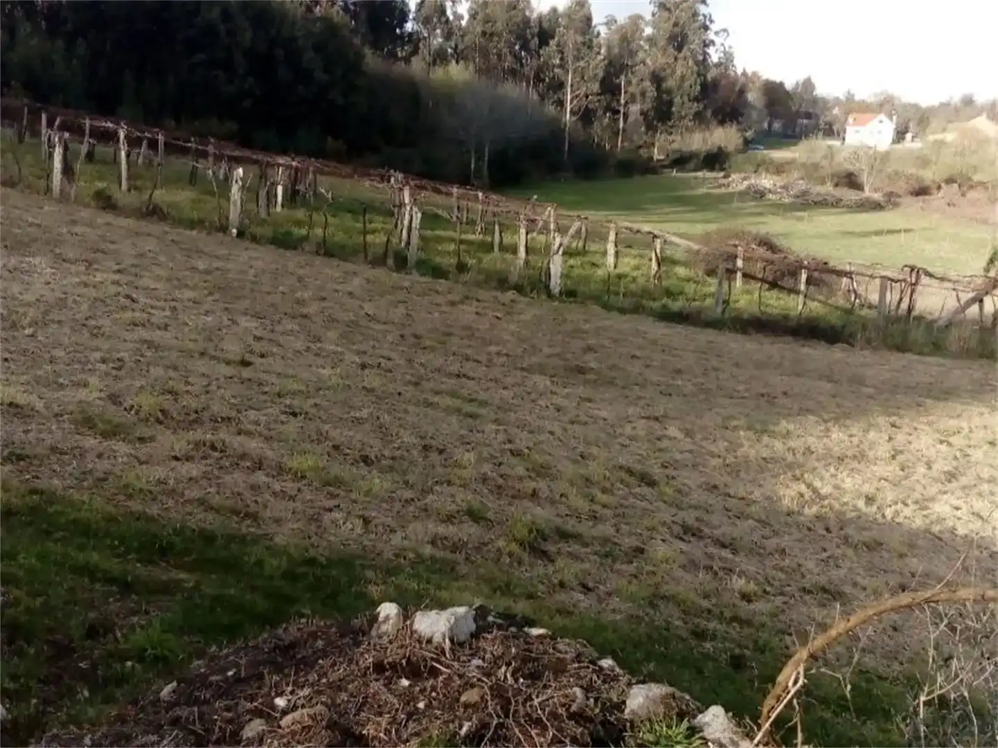 Finca rústica en venta en Cuntis