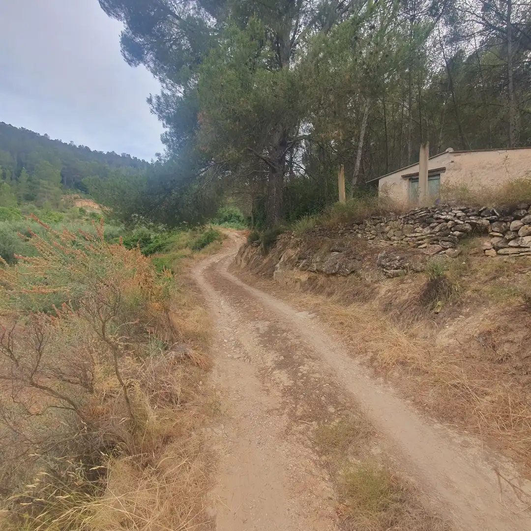 Terreno rústico en venta en Benifallet, imagen 11