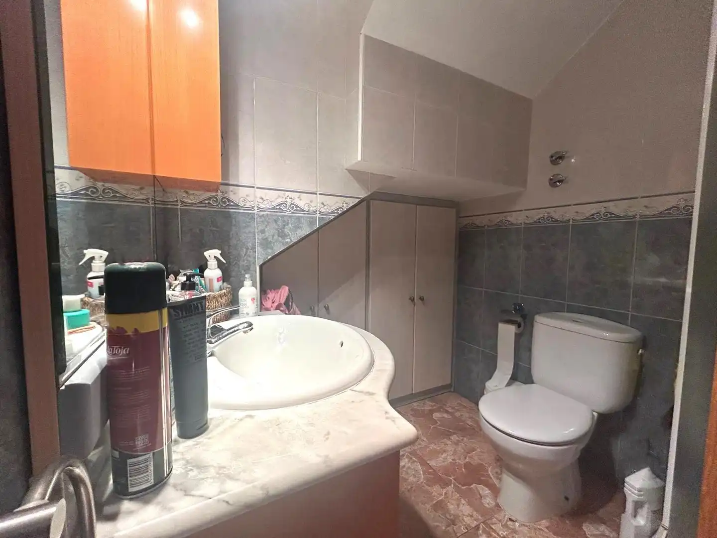Baño de Casa o chalet en venta en El Ejido