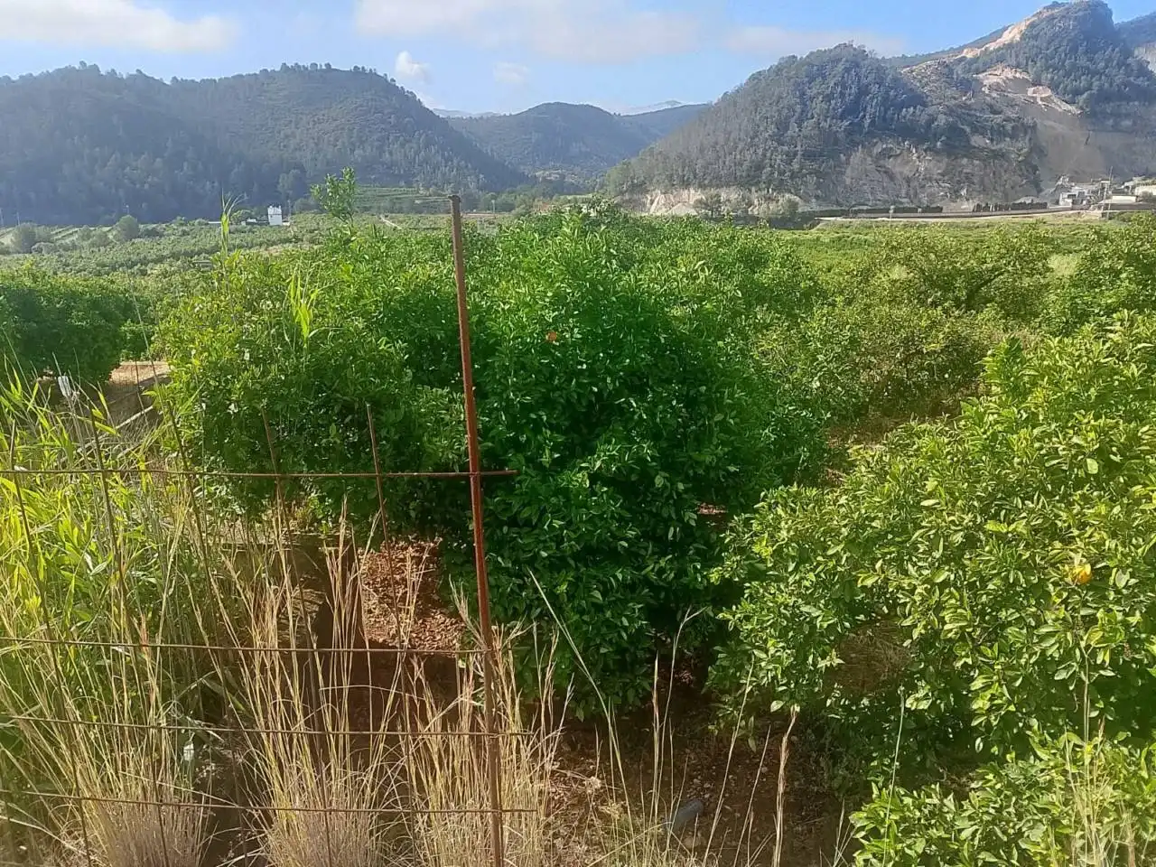 Land for sale in L'Atzúbia