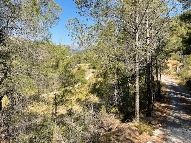 Terrenys i solars en venda a Callosa d'en Sarrià, imagen 7