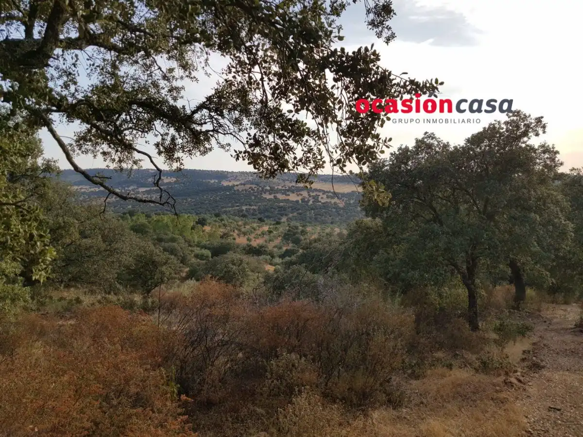 Finca rústica en venta en Espiel con Piscina y Amueblado
