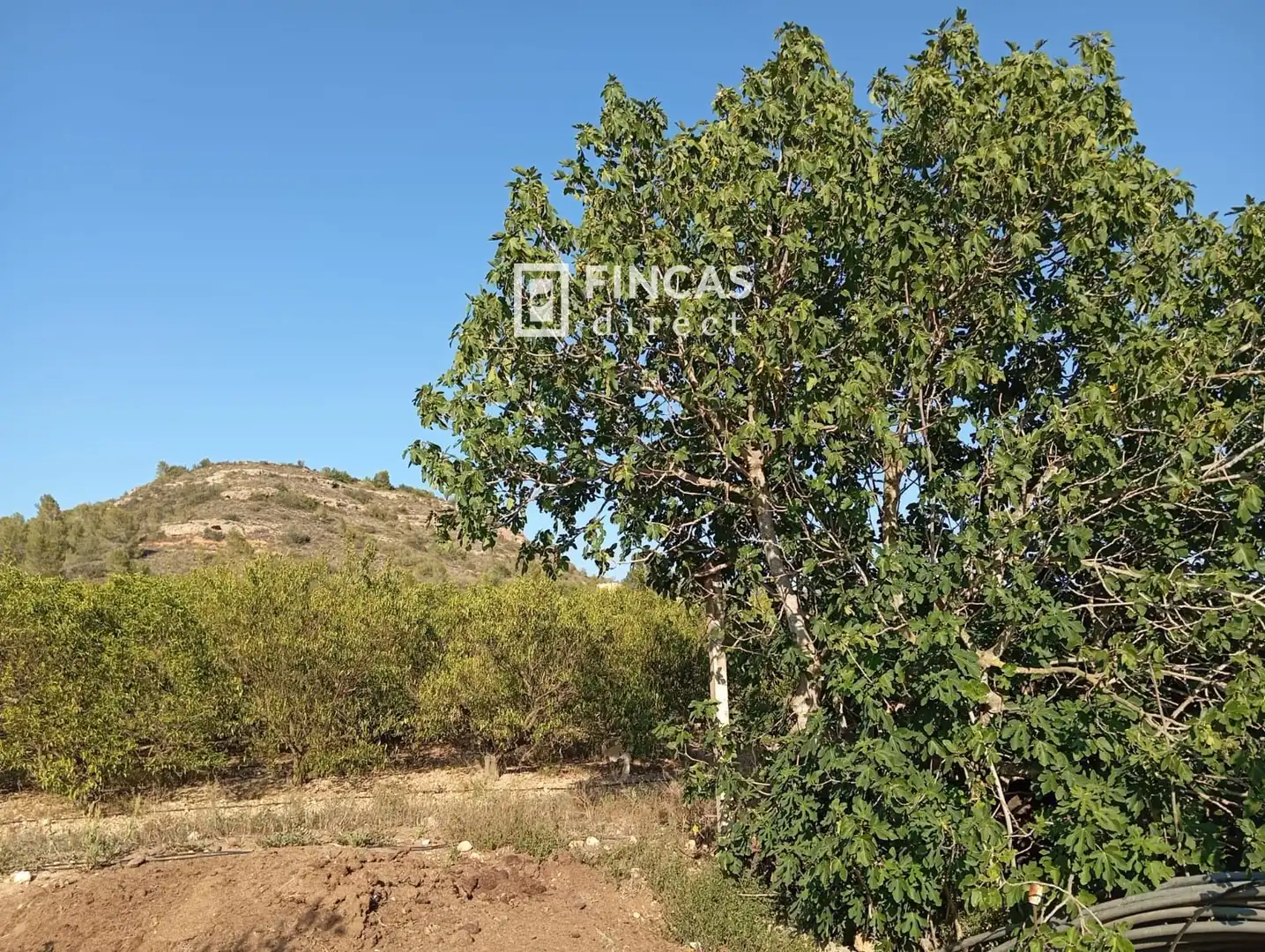 Country homes for sale in Tortosa  with Heating and Furnished