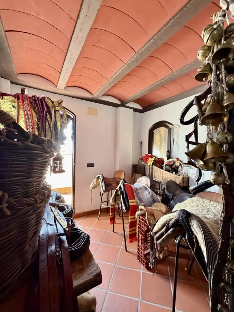 Casa o xalet en venda en Sanlúcar la Mayor amb Calefacció i Terrassa