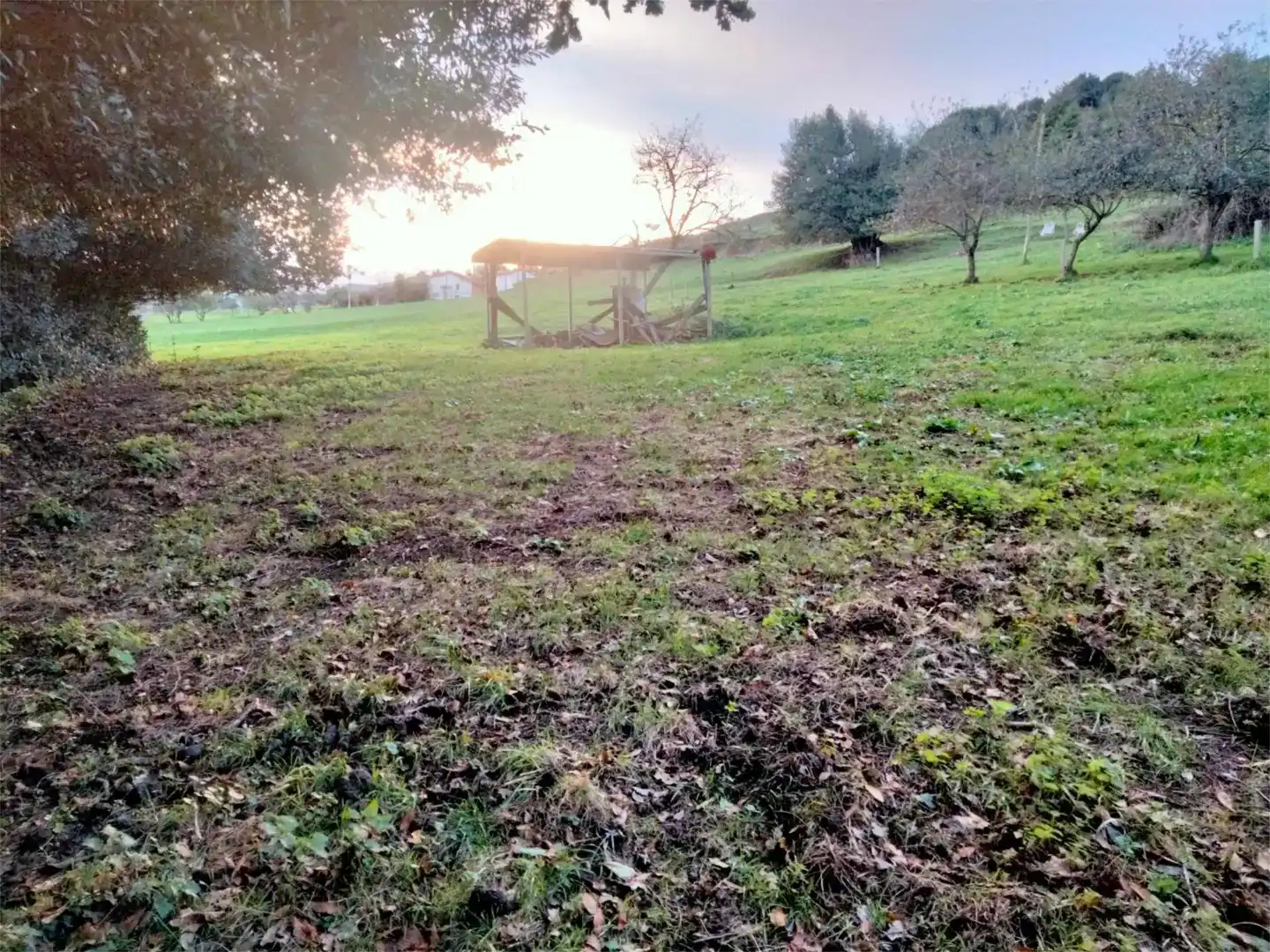 Casa o chalet en venta en Llanera