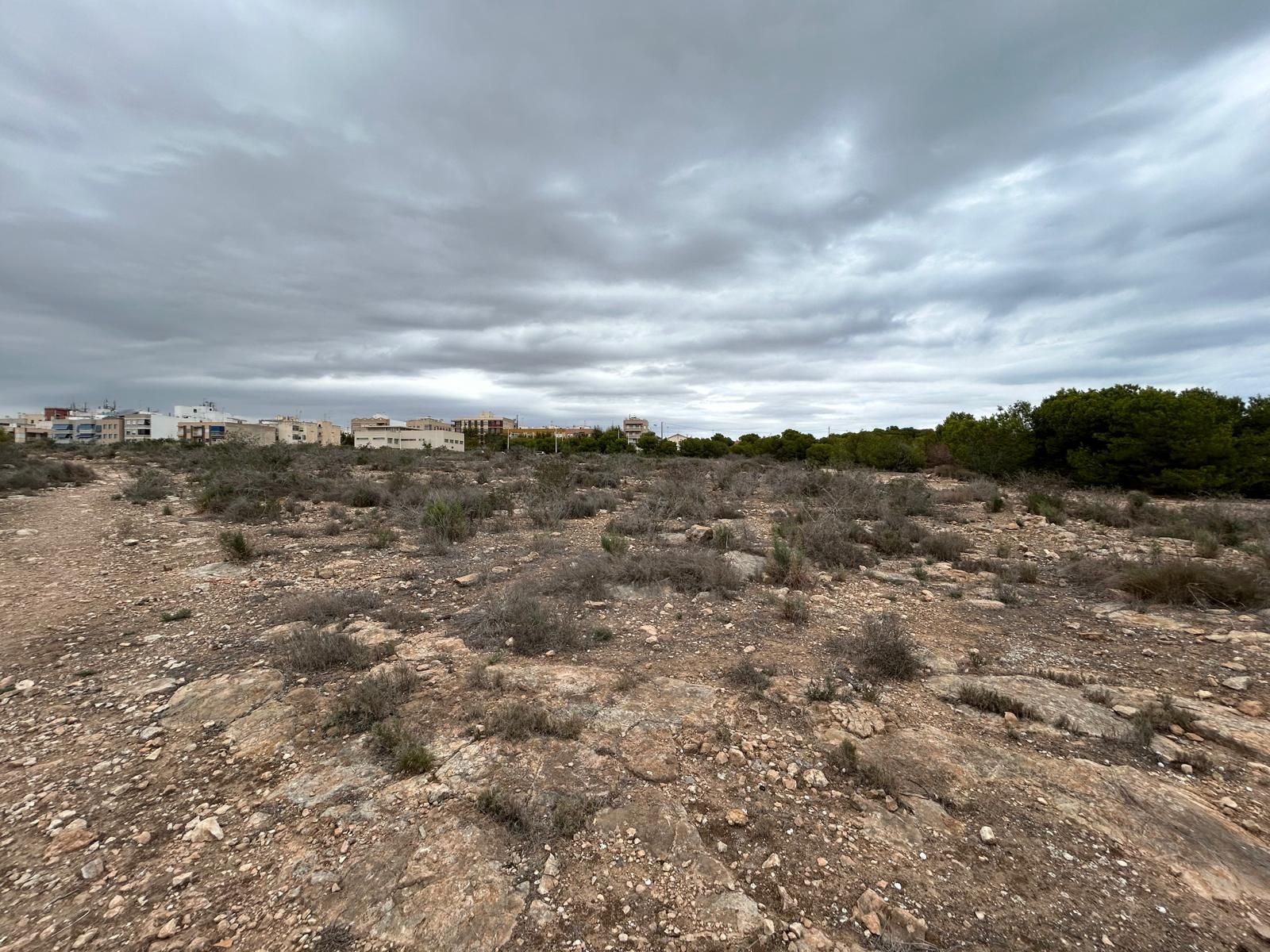 Residential for sale in Elche / Elx