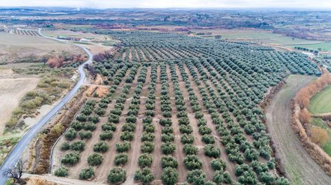 Foto 5 de Finca rústica en venta en Baza, Granada