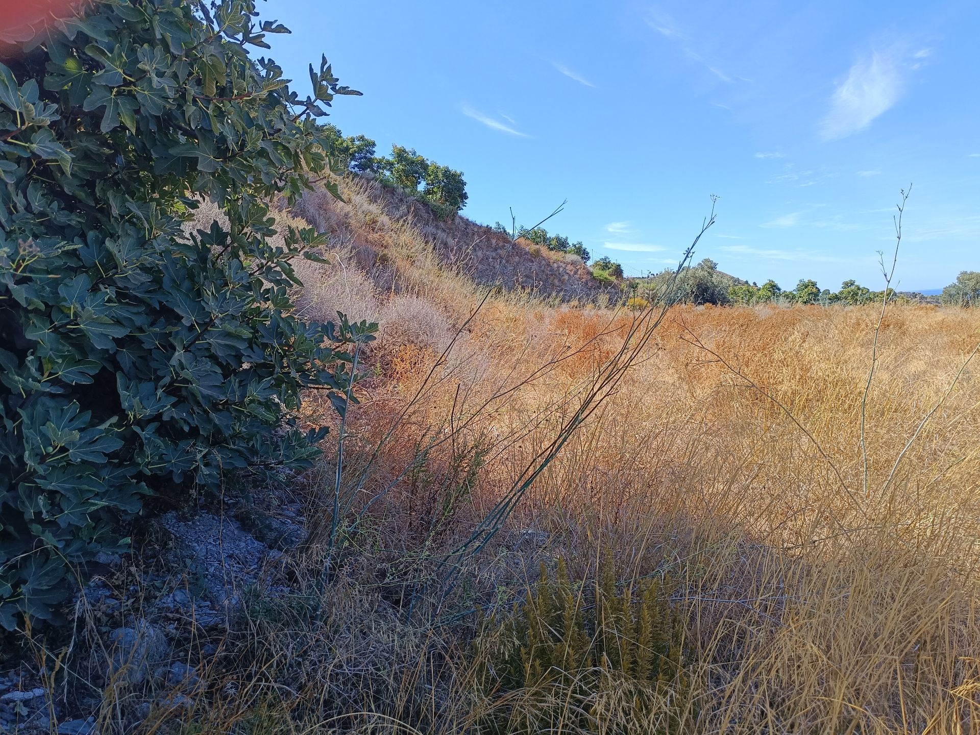 Land to rent in Los Tablones - La Garnatilla