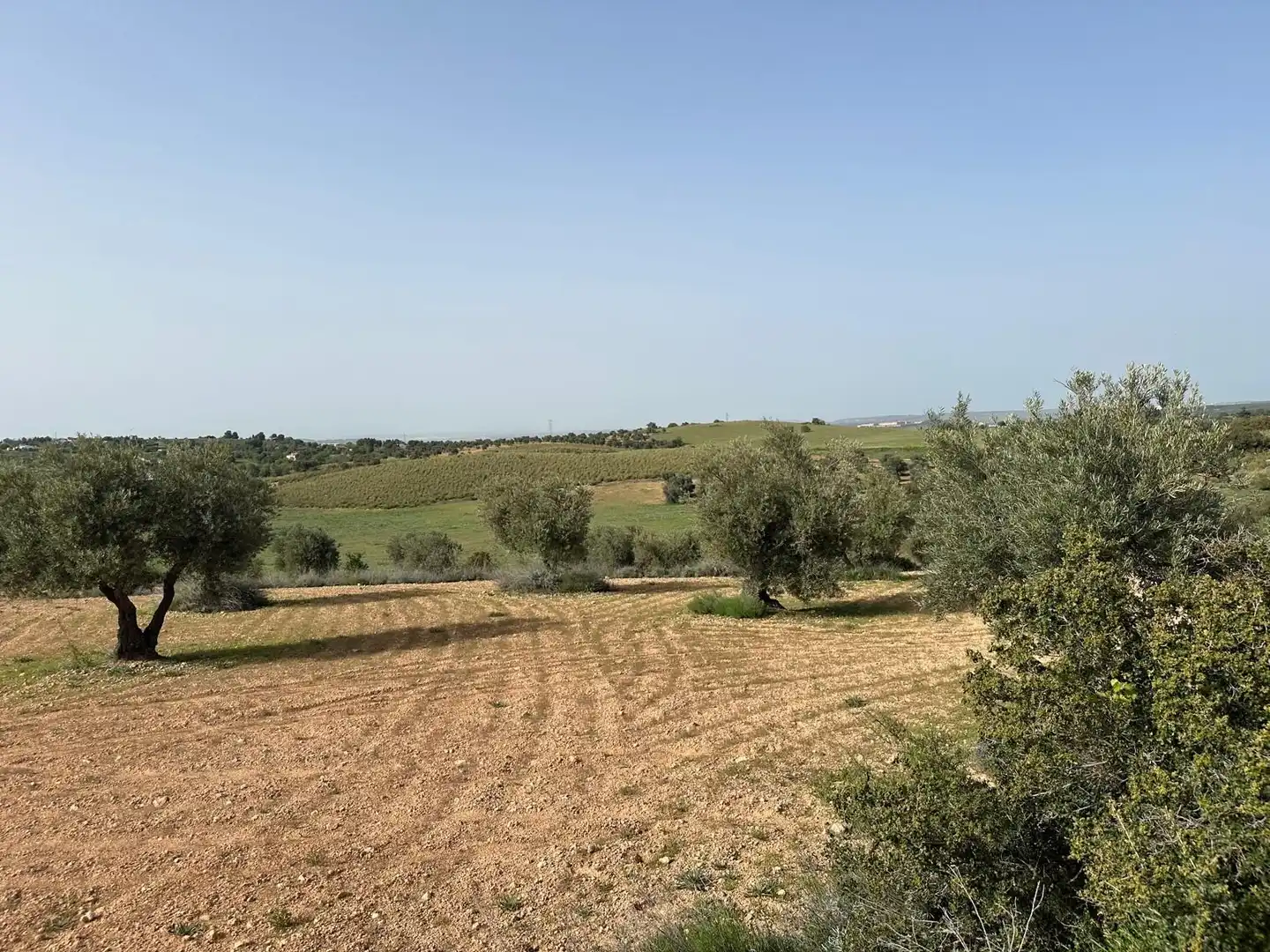 Terreno en venta en Morata de Tajuña